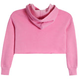 Crop Hoodie - Denny's