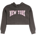 A dark heather gray cropped hoodie sweatshirt featuring the words 'NEW YORK' printed in arched pink varsity-style letters with a white outline across the chest, displayed on a solid white background.