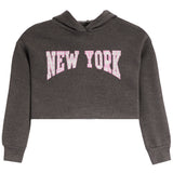 A dark heather gray cropped hoodie sweatshirt featuring the words 'NEW YORK' printed in arched pink varsity-style letters with a white outline across the chest, displayed on a solid white background.