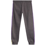 Chenille Star Retro Stripe Jogger - Denny's