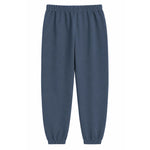 Slate blue elastic pant