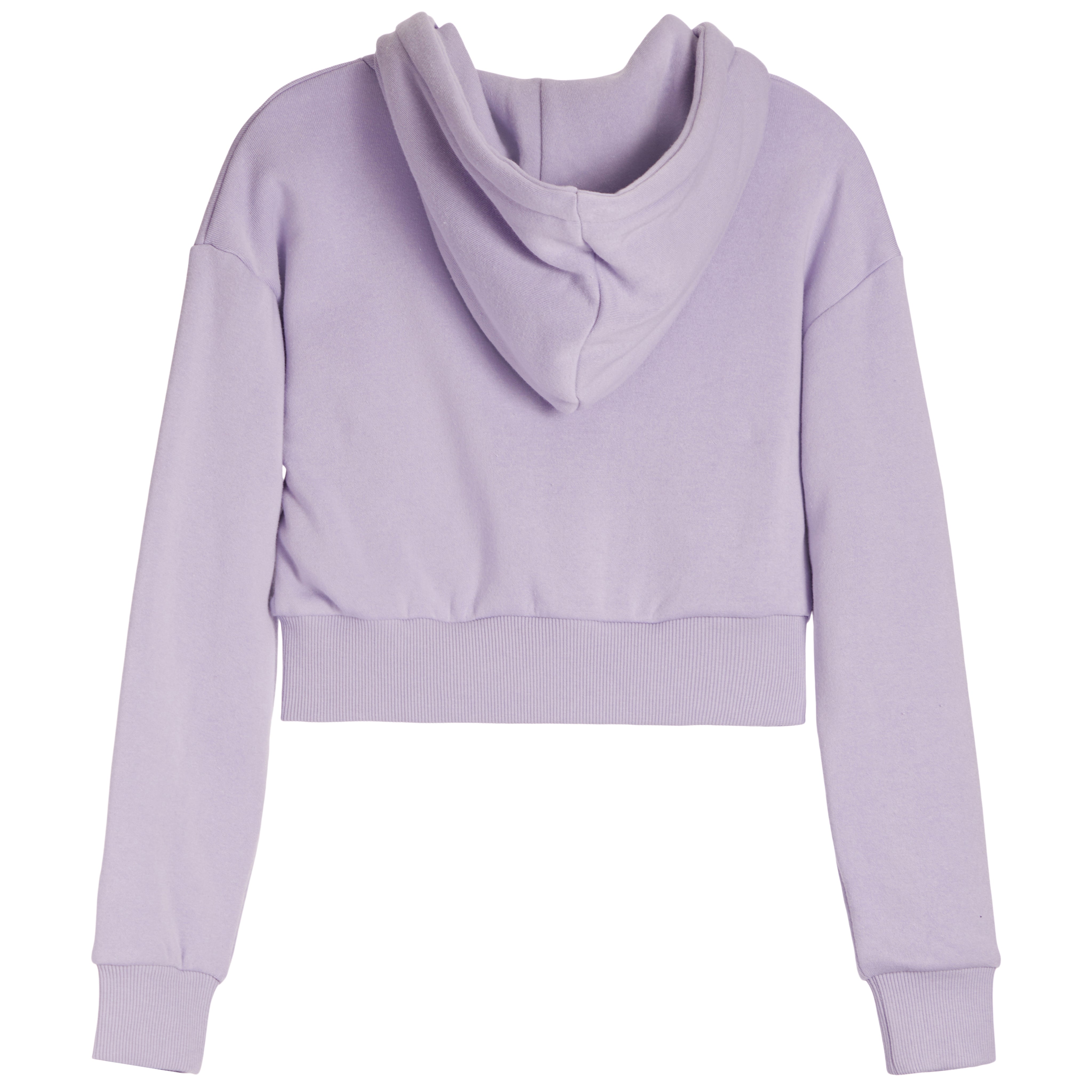 Dylan Crop Zip Hoodie - Denny's