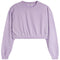 Crop Sweatshirt - Denny's
