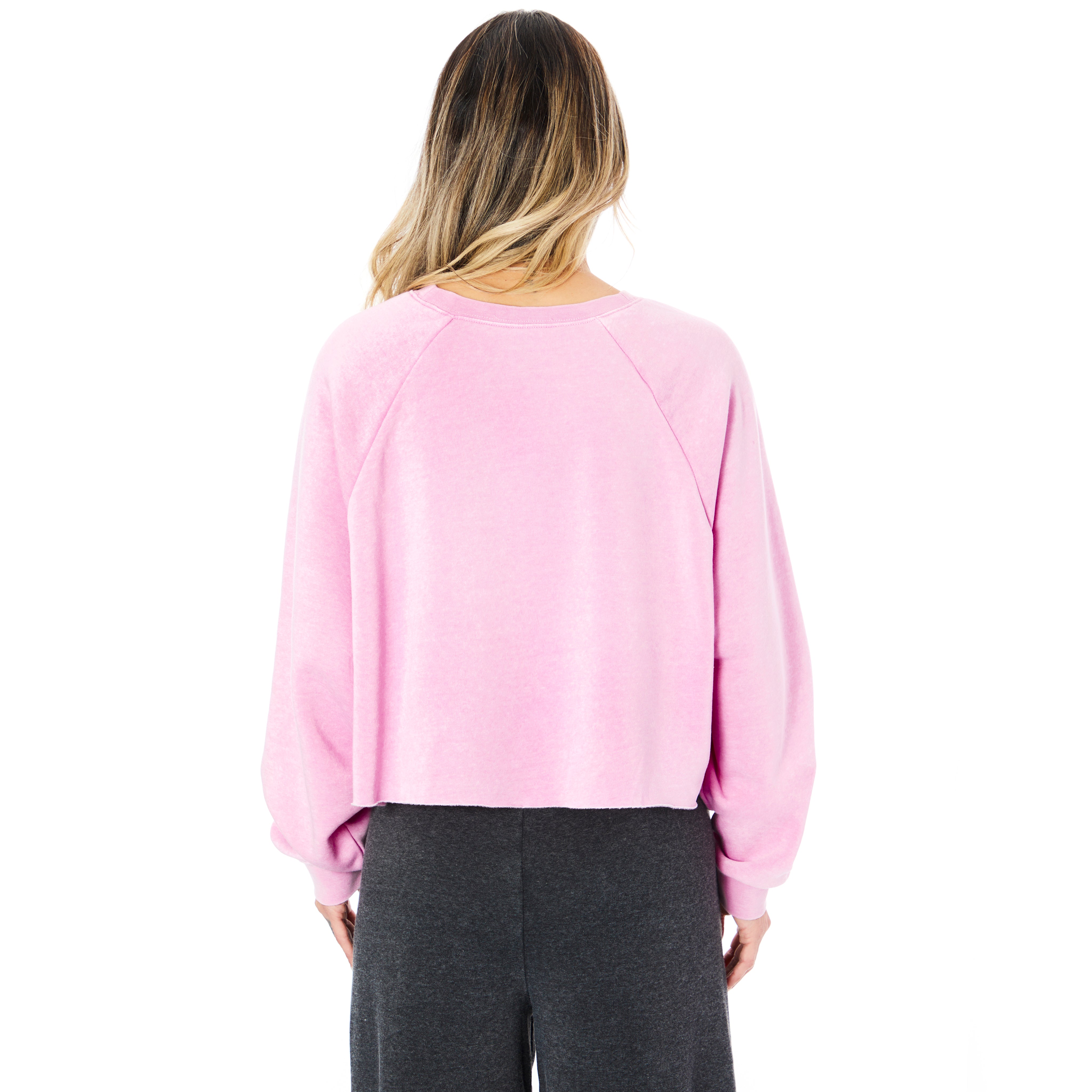 Crop Sweatshirt - Denny's