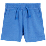 Distressed Shorts