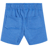 Distressed Shorts