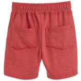 Distressed Shorts
