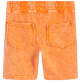 Enzyme Wash Short