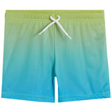 Gradient Mesh Short