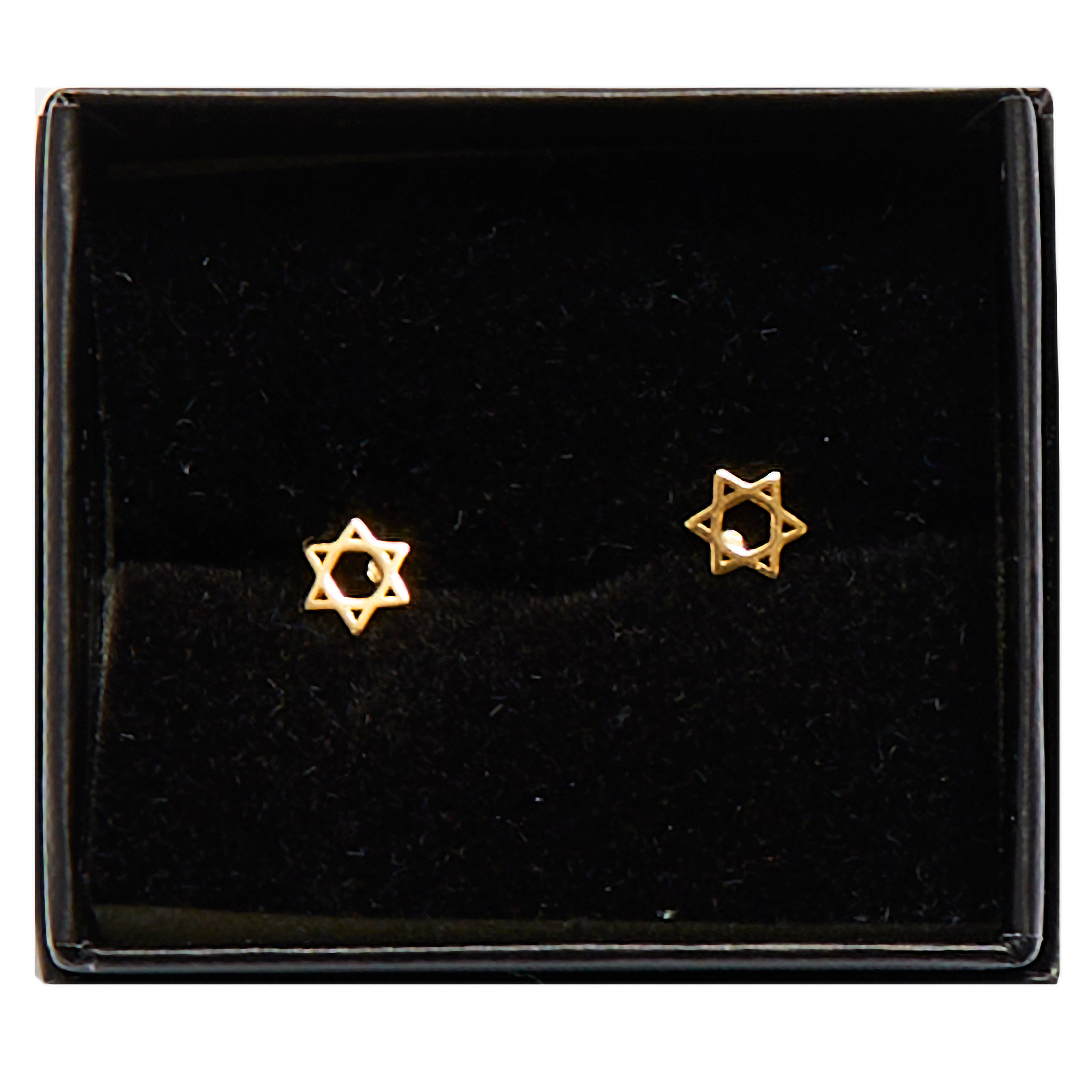 Star of David Stud Earrings - Denny's