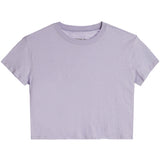 Fearless Crop Tee - Denny's