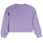 Retro Stripe Sweatshirt - Denny's