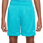 Mesh Short - Denny's