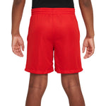 Mesh Short - Denny's