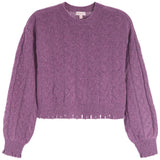 Rawedge Cable Sweater - Denny's