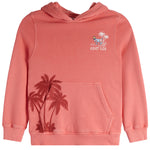 Palm Trees Pigment Hoodie - Denny's
