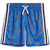 Sports Mesh Shorts