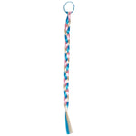 Color Hair Braid Pony - Denny's