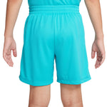 Multi HBR Short - Denny's