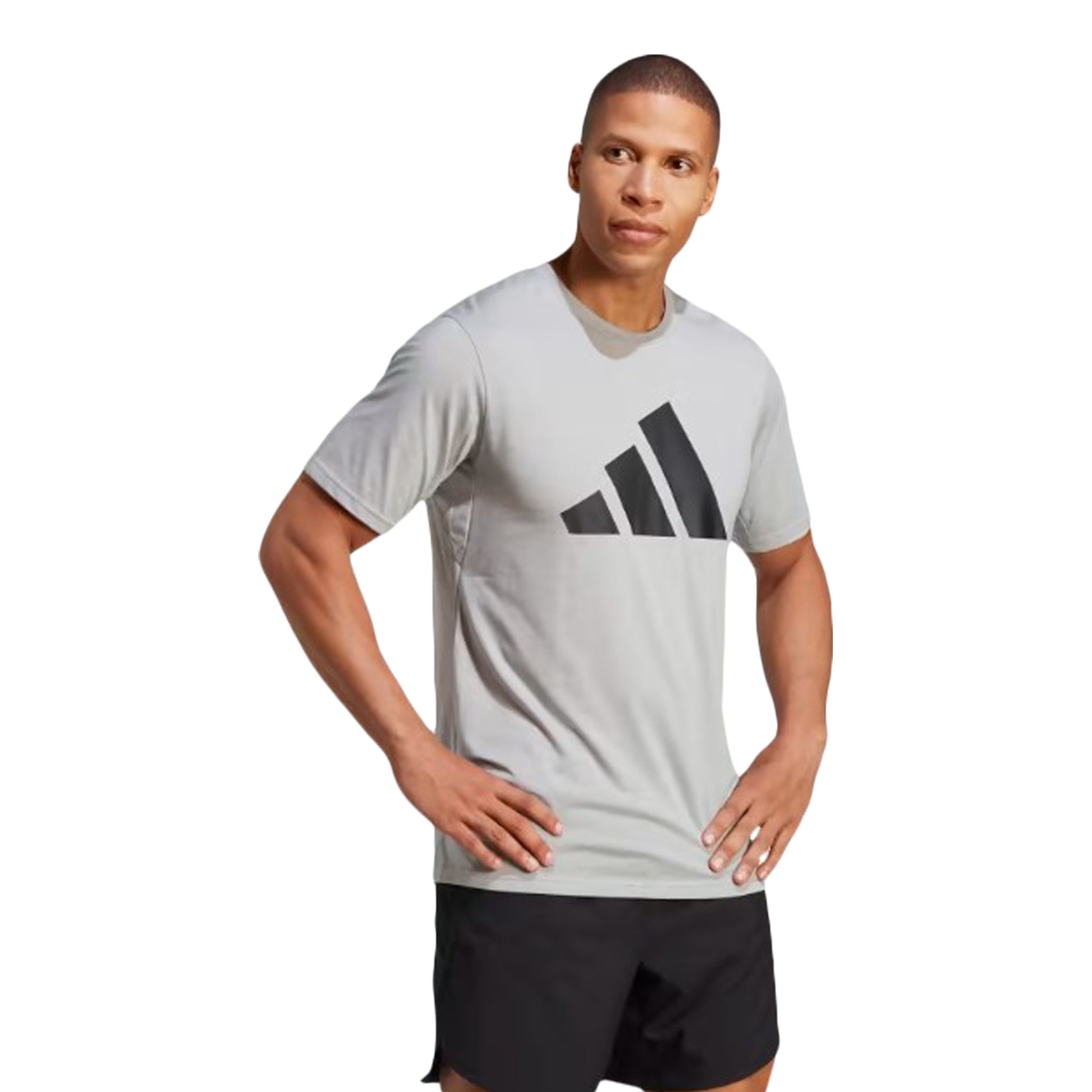Train Essentials Feelready Logo Tee - Denny's