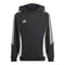 Tiro 24 Hoodie - Denny's