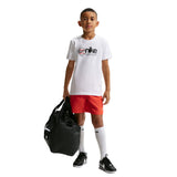 Nike Baseball Tee