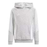 Tiro 24 Hoodie - Denny's