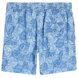 Curacao Swim
