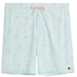 Caladesi Swim
