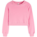 Soft Cloud Crop Sweatshirt - Denny's