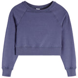 Soft Cloud Crop Sweatshirt - Denny's