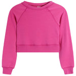 Fleece Crop Sweatshirt - Denny's