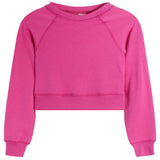 Fleece Crop Sweatshirt - Denny's