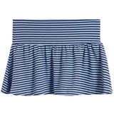 Stripe Skirt