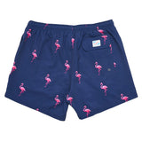 Miami Swim With Liner