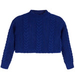 Crop Sweater - Denny's