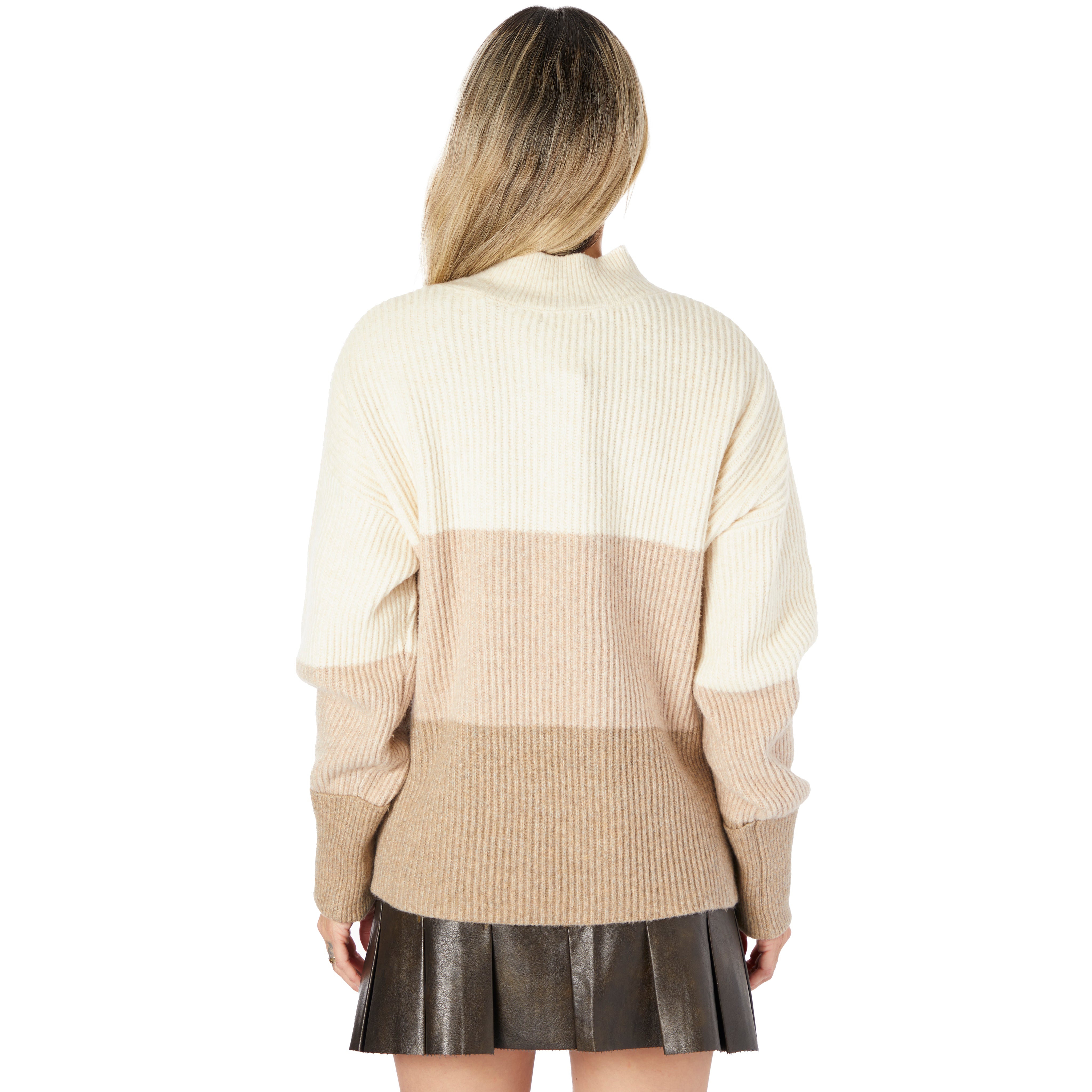 Colorblock Turtleneck Sweater - Denny's