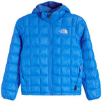 Thermo Ball Hooded Jacket - Denny's