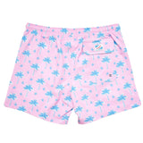 Palm Beach Brief Liner Swim - Denny's