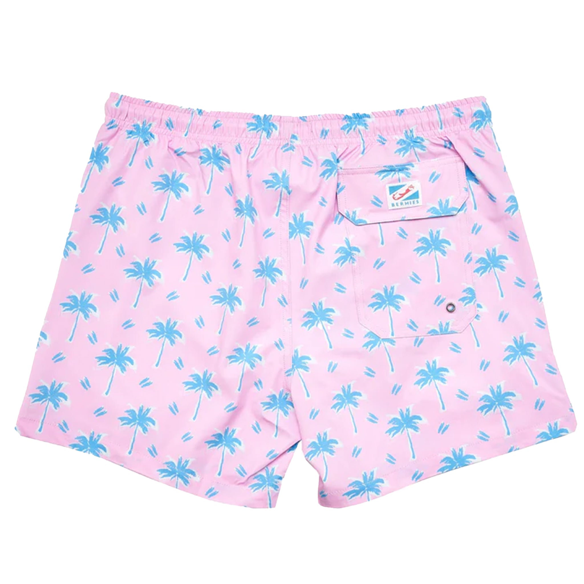 Palm Beach Brief Liner Swim - Denny's