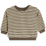 A cropped long-sleeve knit top with horizontal brown and cream stripes, featuring ribbed crew neck, cuffs, and hem.