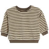 A cropped long-sleeve knit top with horizontal brown and cream stripes, featuring ribbed crew neck, cuffs, and hem.