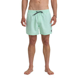 Everyday Solid  15in  Volley