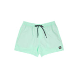 Everyday Solid  15in  Volley