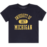 Michigan DistressedTee