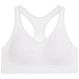 Seamless Sport Bra - Denny's