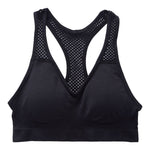 Seamless Sport Bra - Denny's