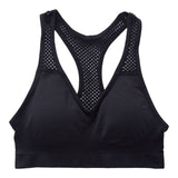 Seamless Sport Bra - Denny's