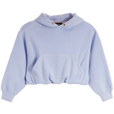 A light blue cropped hoodie sweatshirt with a front kangaroo pocket and drawstring hood, displayed flat against a white background.
