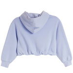 A light blue cropped hoodie with a high folded collar and long sleeves, shown from the back on a solid white background.